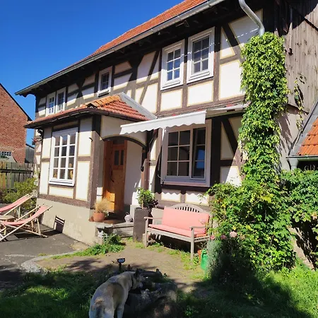 Historischer Hof, Einladend Fuer Mensch Und Tier